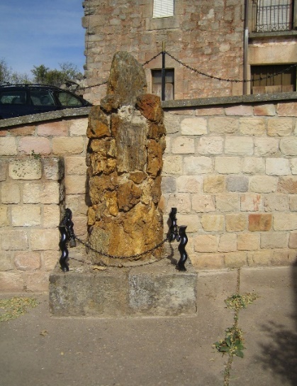 Los dos árboles fósiles en la plaza de Cabezón de la Sierra.