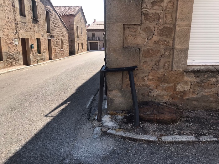Resto de árbol fósil en Palacios de la Sierra