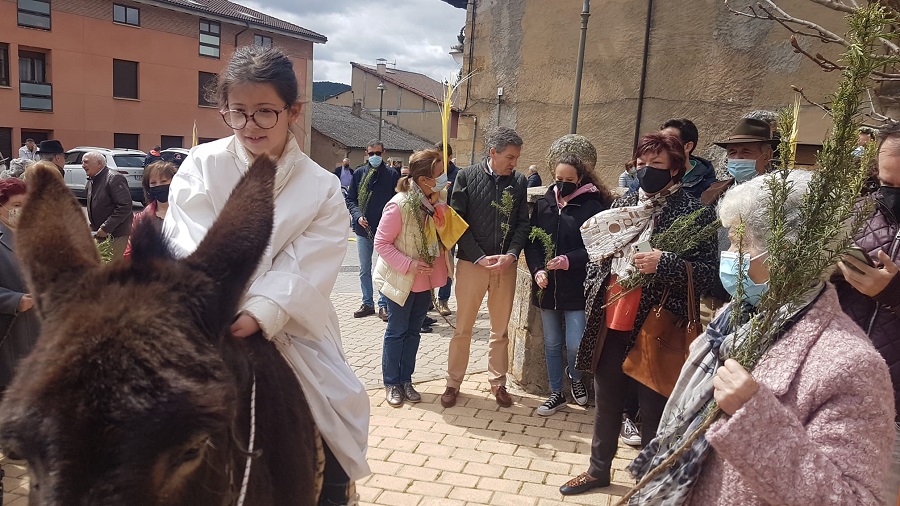 PROCESION RAMOS NAVALENO (9)