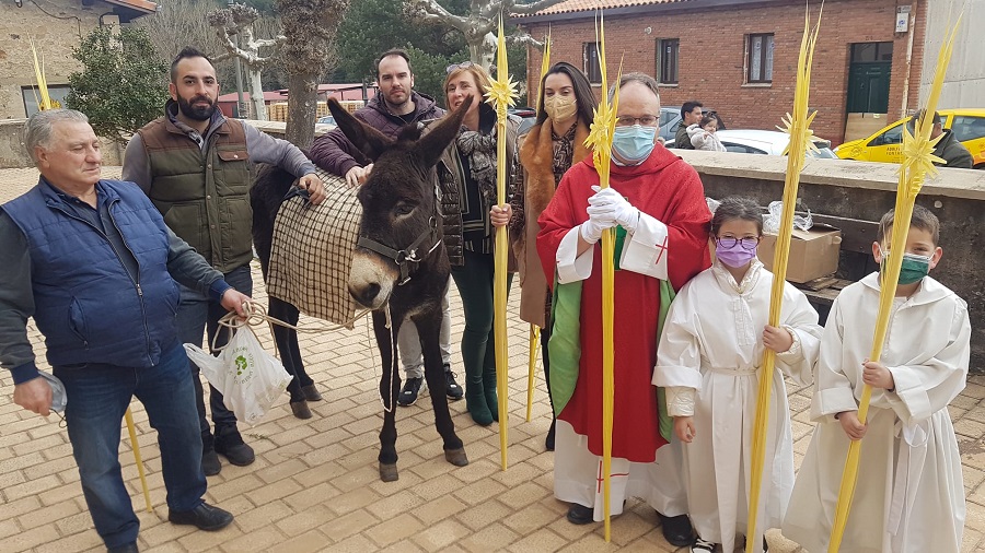 PROCESION RAMOS NAVALENO (3)