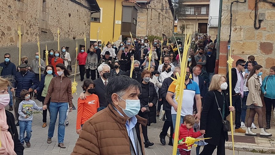 PROCESION RAMOS NAVALENO (6)