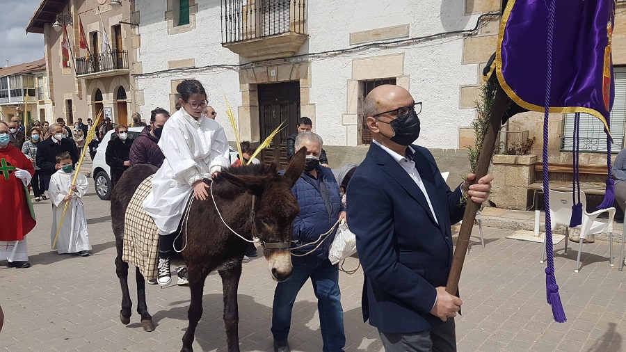 PROCESION RAMOS NAVALENO (4)