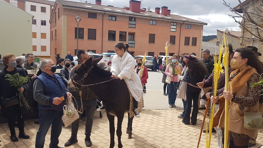 PROCESION RAMOS NAVALENO (8)