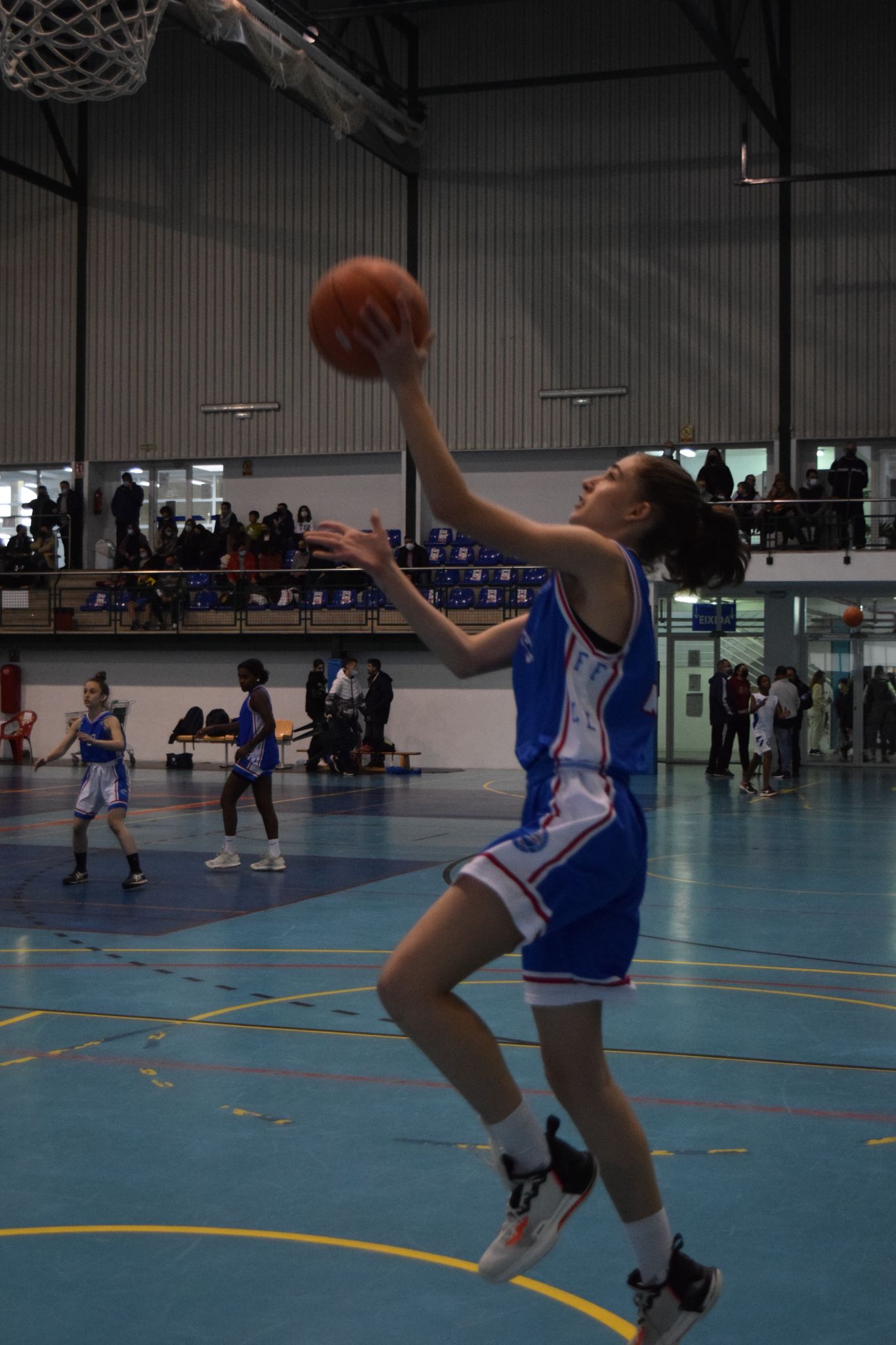 Monica Basket