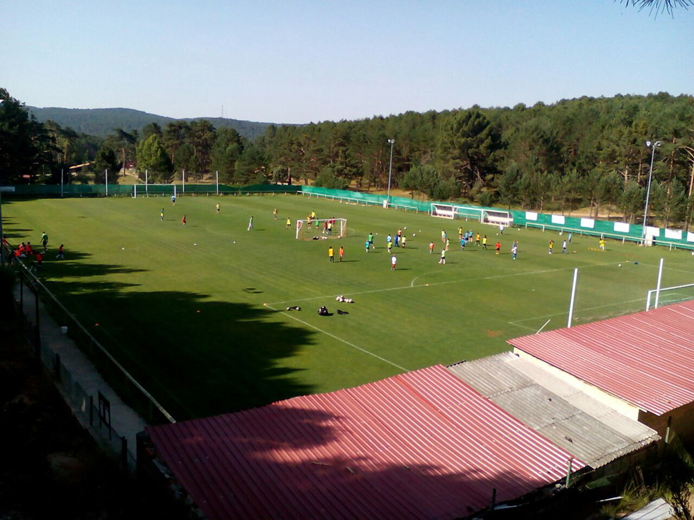 campo_6