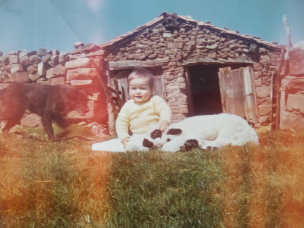 FOTO ROBERTO CON LAS OVEJAS