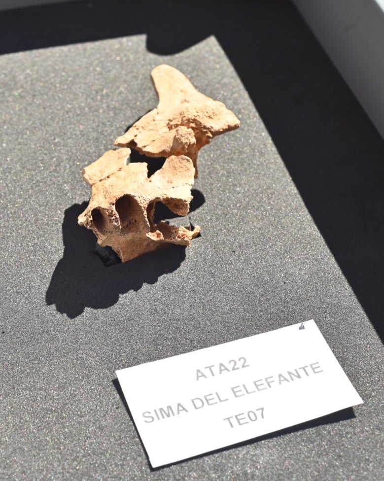 ATAPUERCA 3