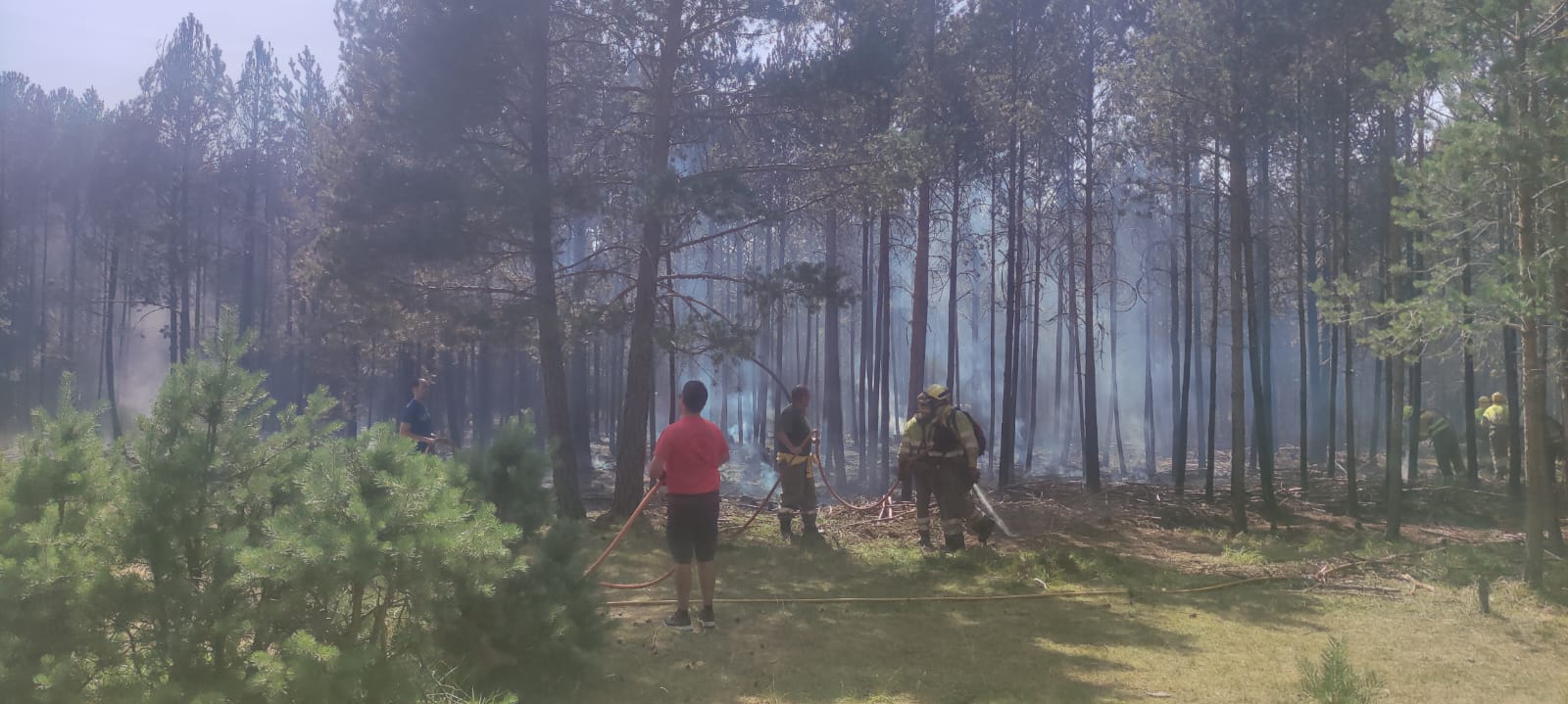 Incendio en Covaleda 2