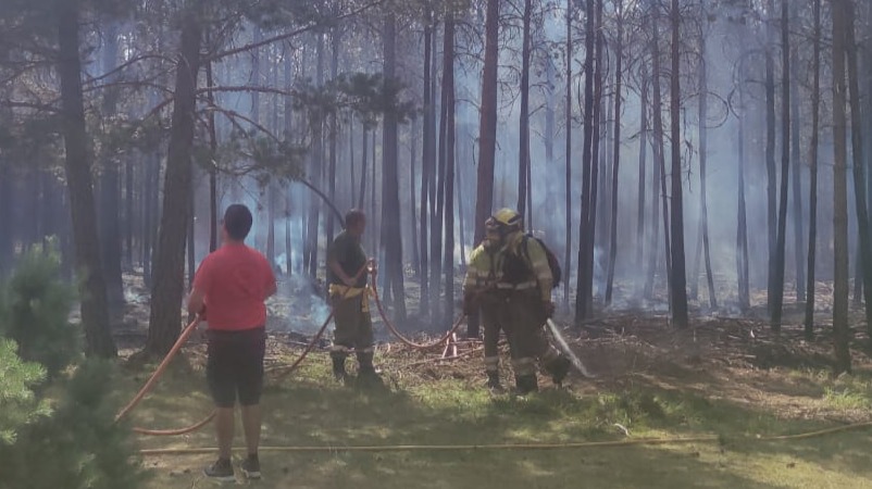 El fuego de Las Tozas ha afectado a 1.300 m2 en el término de Duruelo de l a Sierra