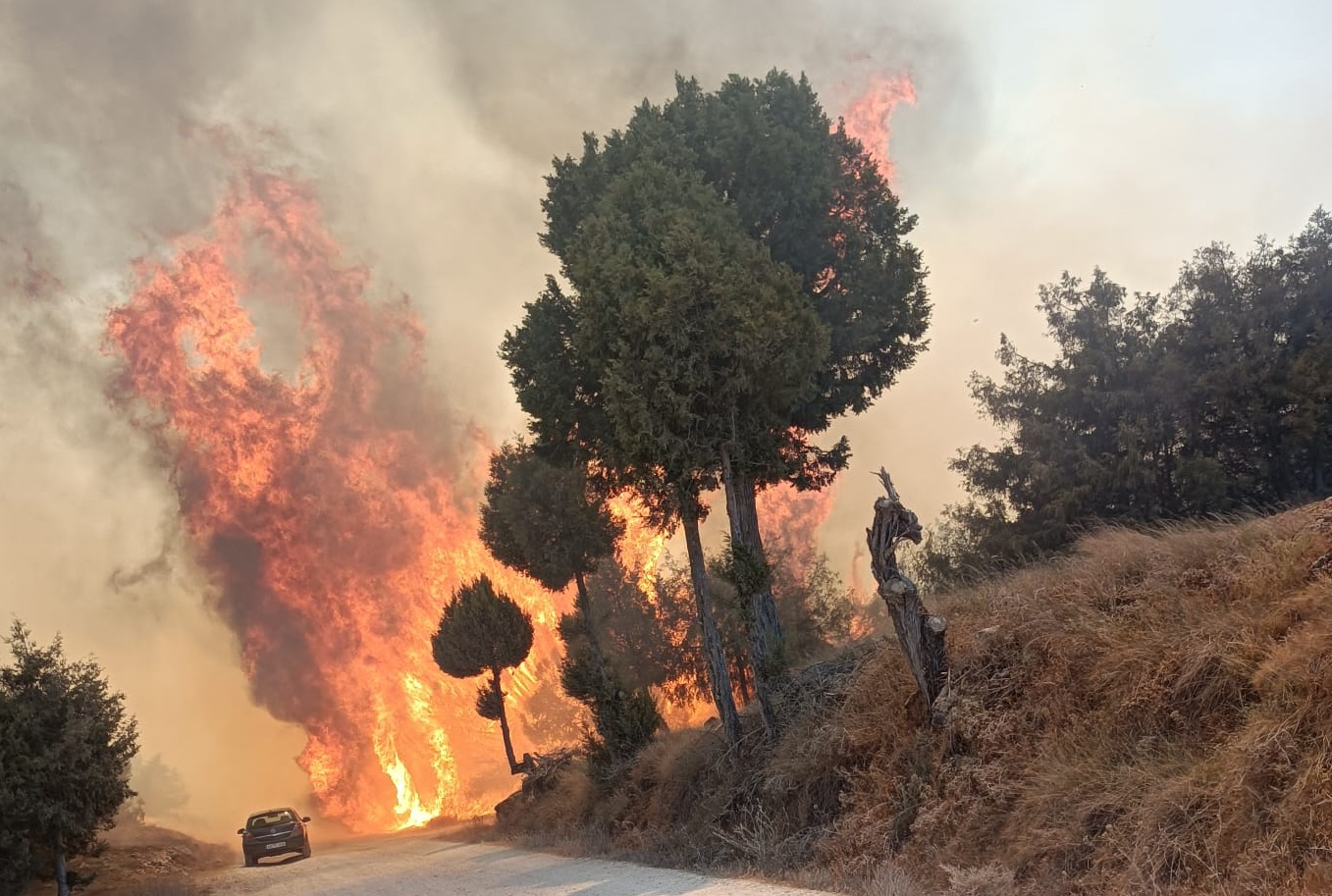 Un nuevo foco del incendio del Arlanza avanza hacia Contreras desde Retuerta