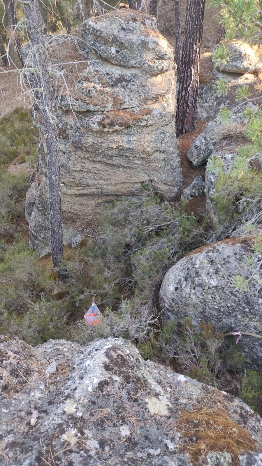 IMG-20220731-WA0069