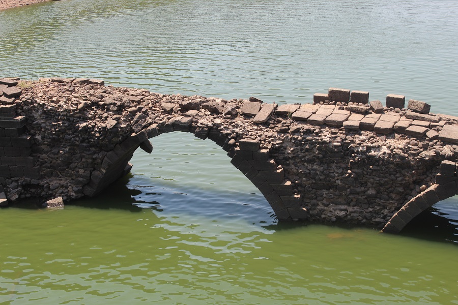PUENTE VINUESA (2)