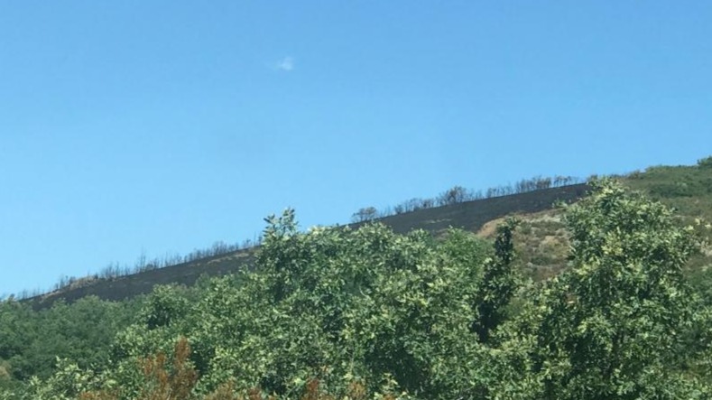 El fuego arrasa unas 35 has de monte en Pineda de la Sierra, declarado de nivel 0