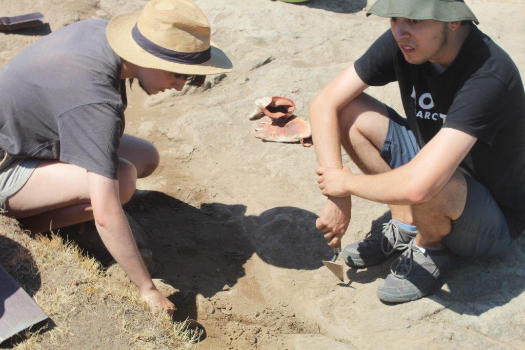 EXCAVACION REVENGA (2)