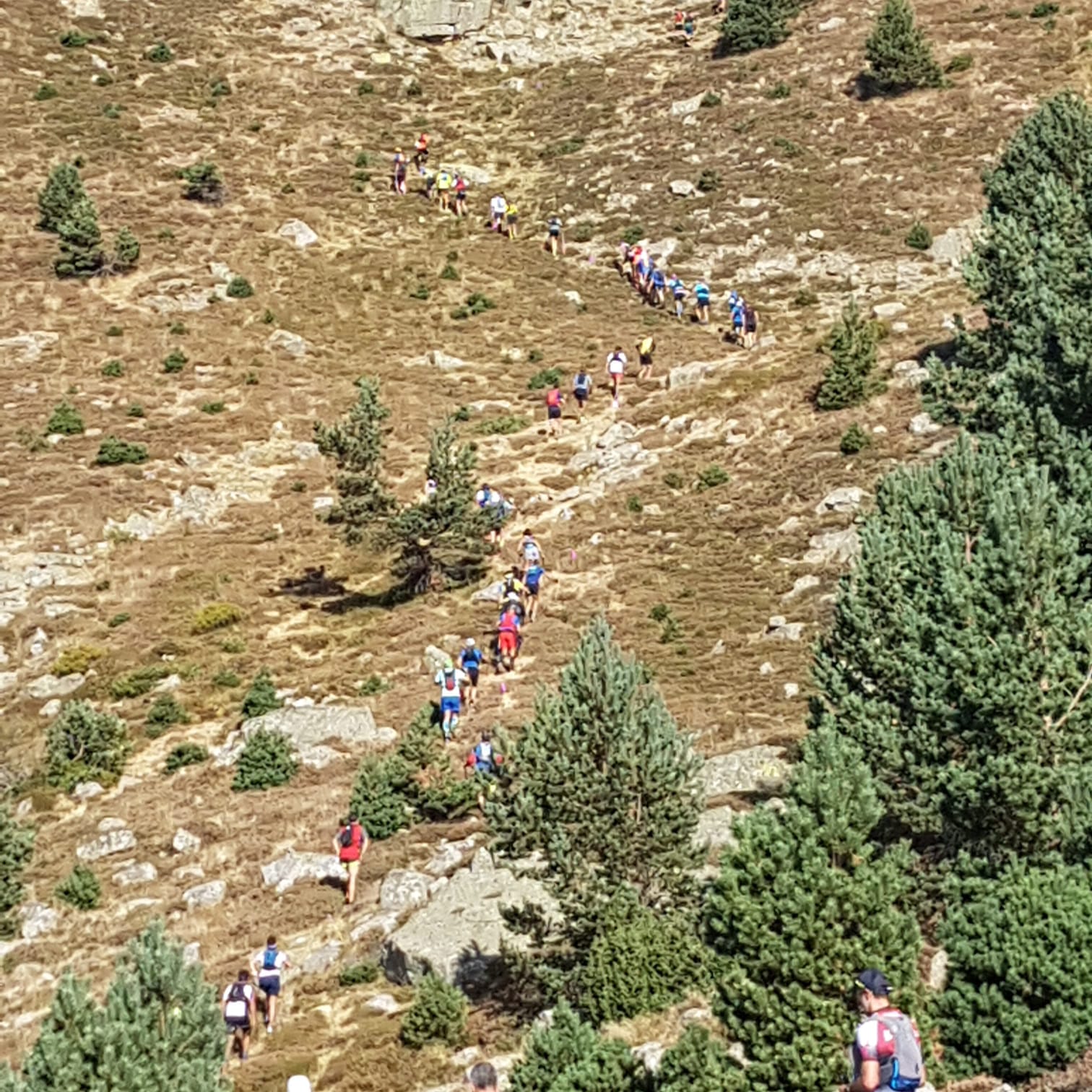 IMG-20220904-WA0003