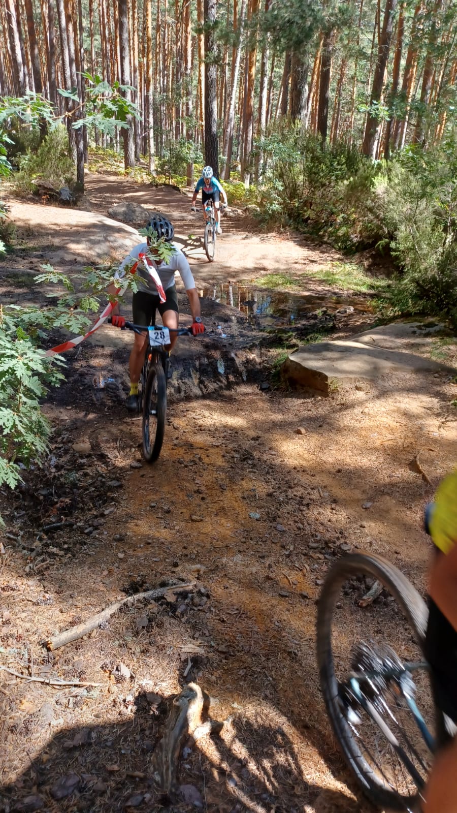 IMG-20220911-WA0004