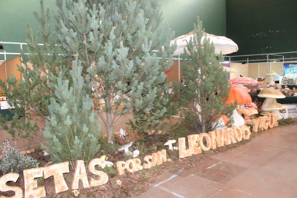 Micologica en San Leonardo (1)