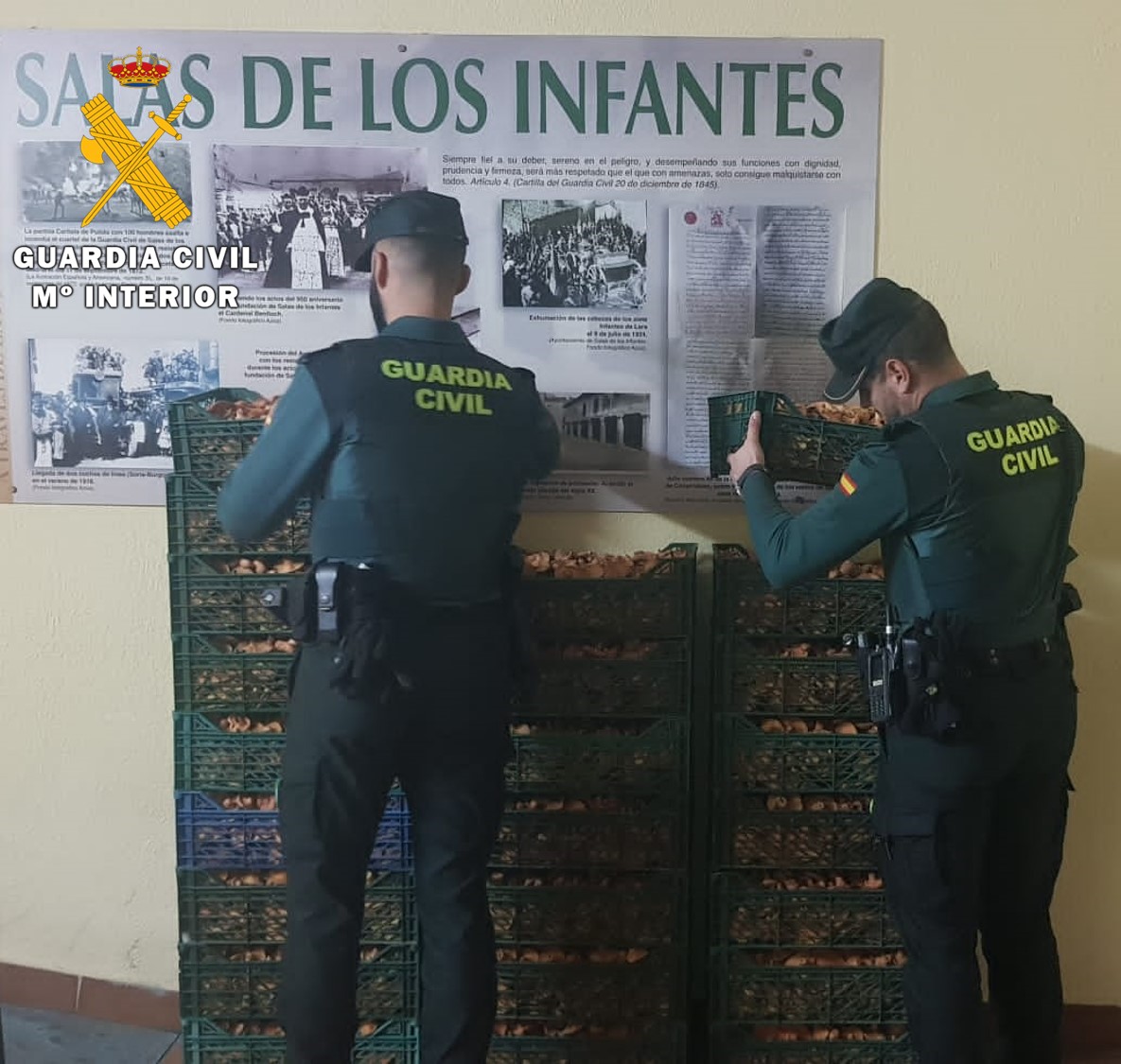 La Guardia Civil interviene en Salas 180 kilos de nícalos recolectados de forma irregular