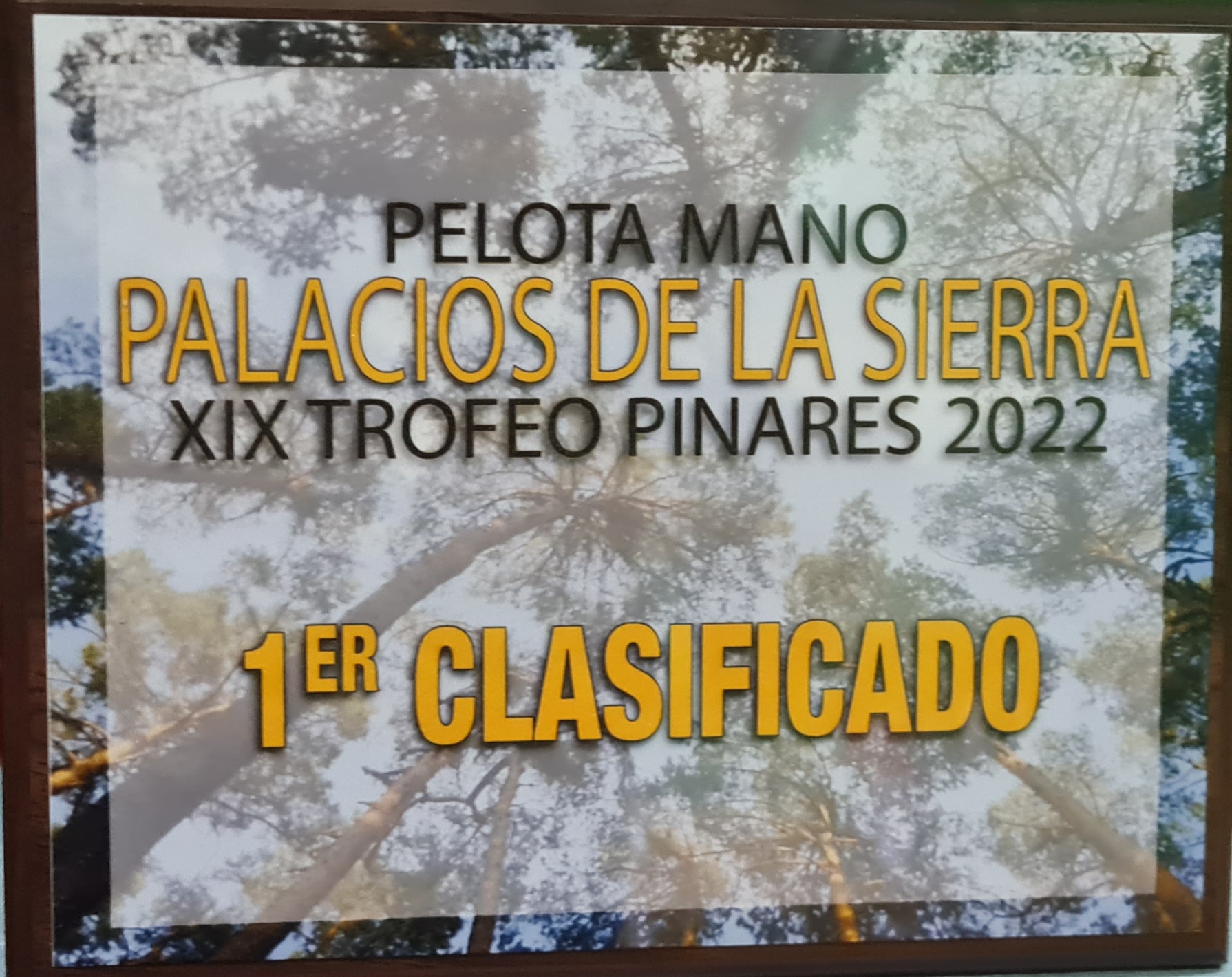 20221210_185532