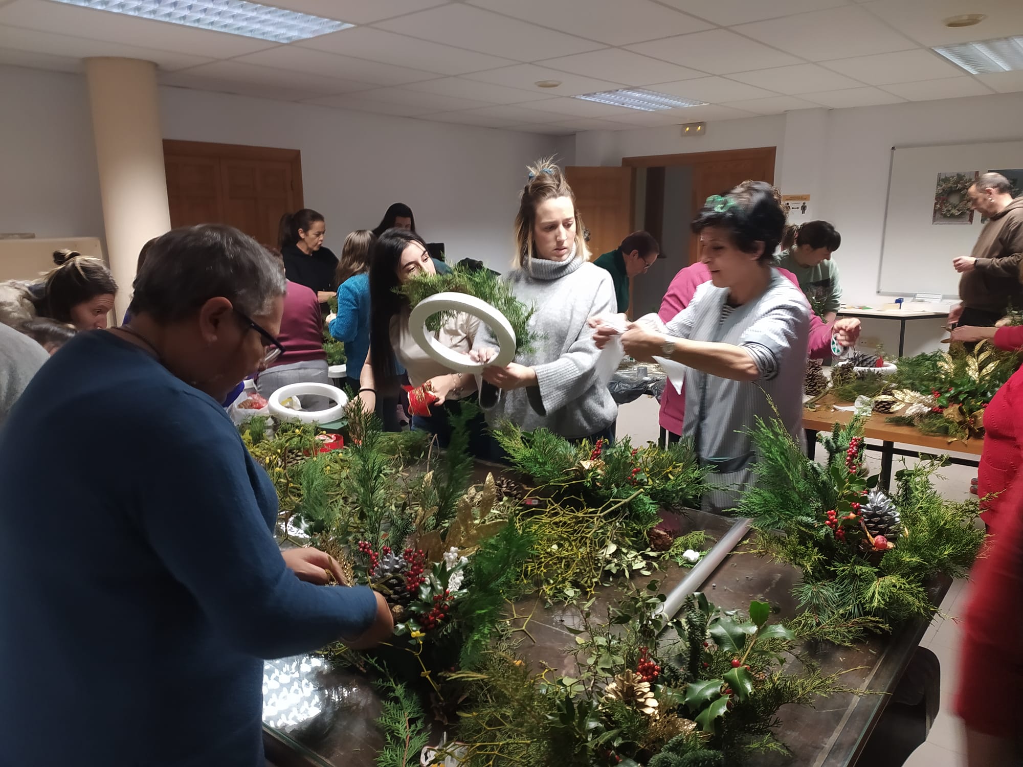 Acebo en Vinuesa (3)