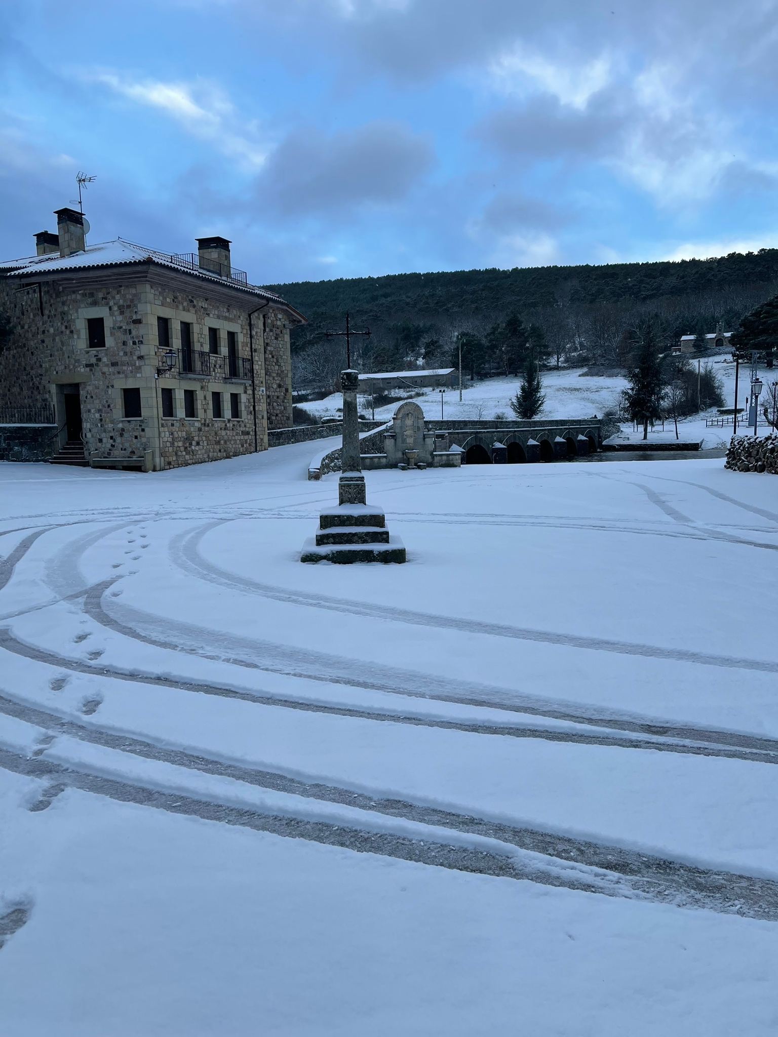 NIEVE EN PINARES (2)