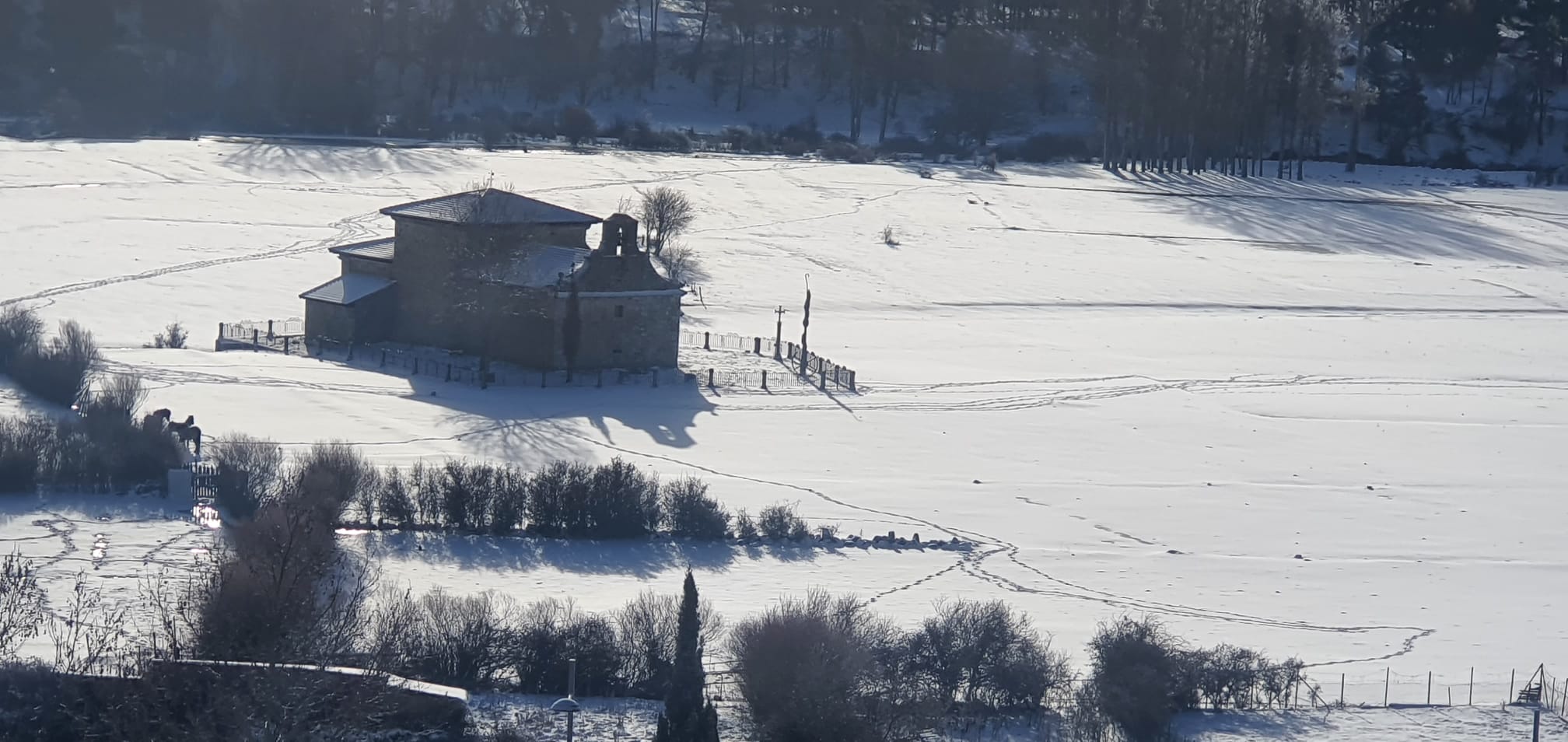 NIEVE EN PINARES (7)