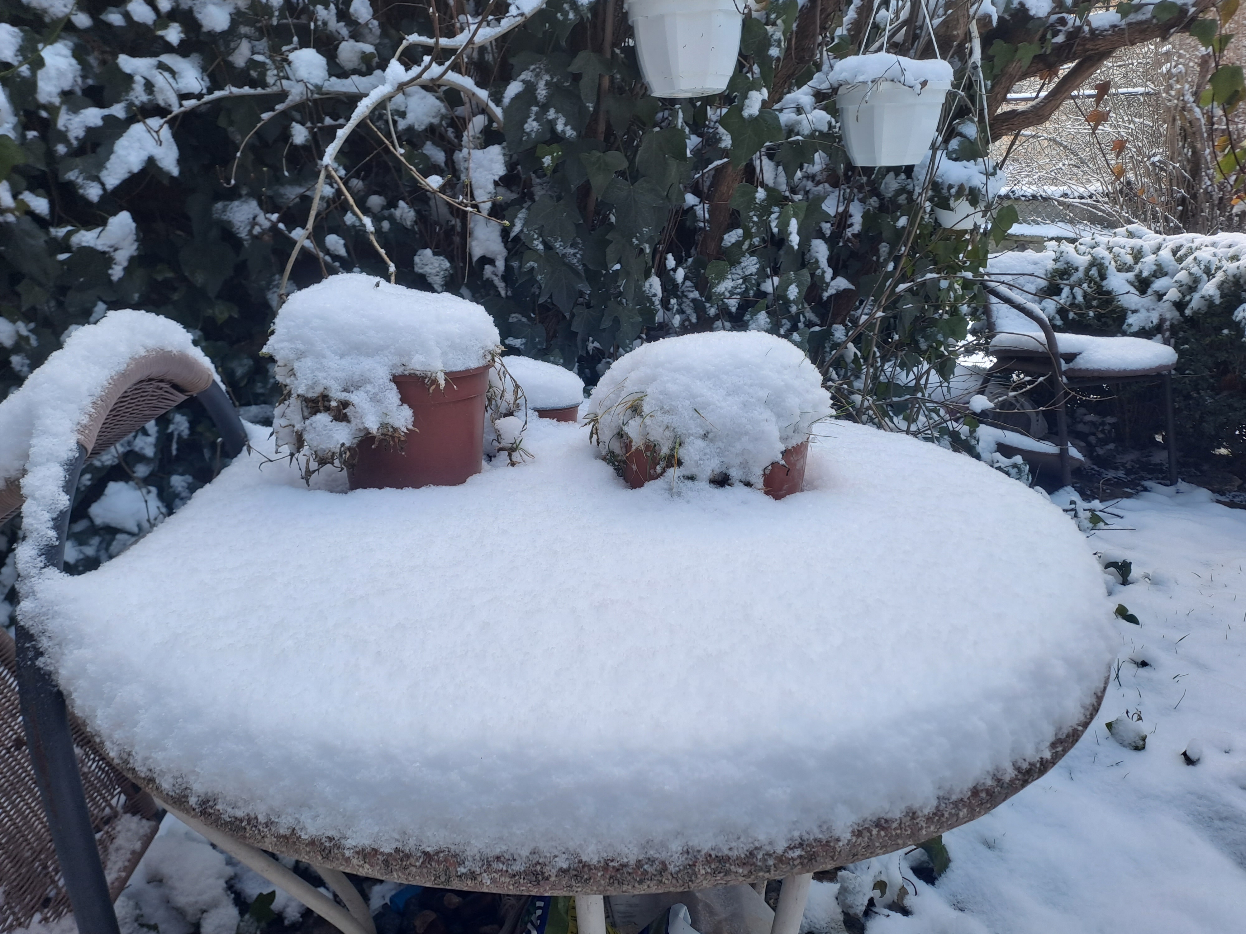 NIEVE EN PINARES 10 (2)
