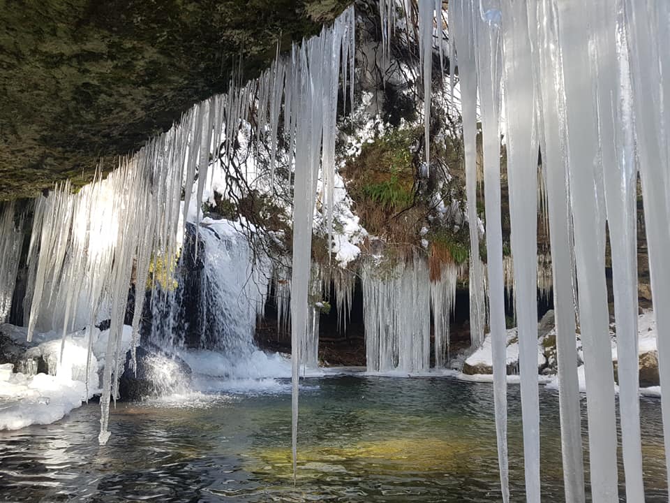 NIEVE EN PINARES 11 (1)