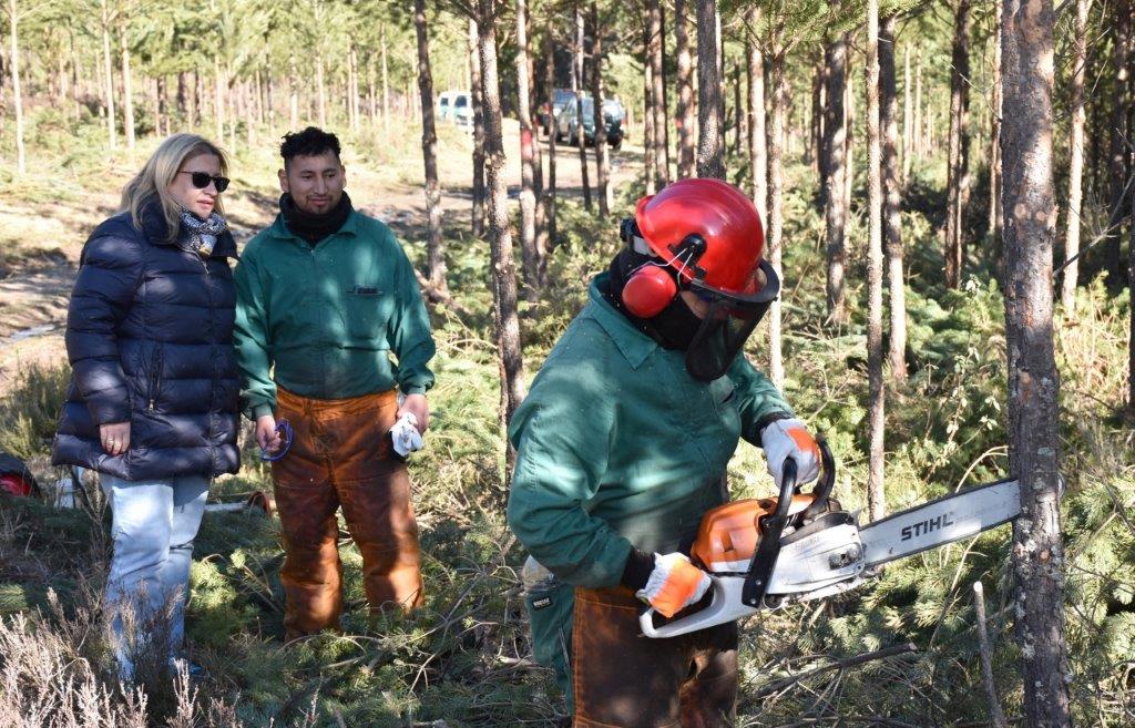 La Junta avanza en labores preventivas de incendios en los montes de la comarca pinariega