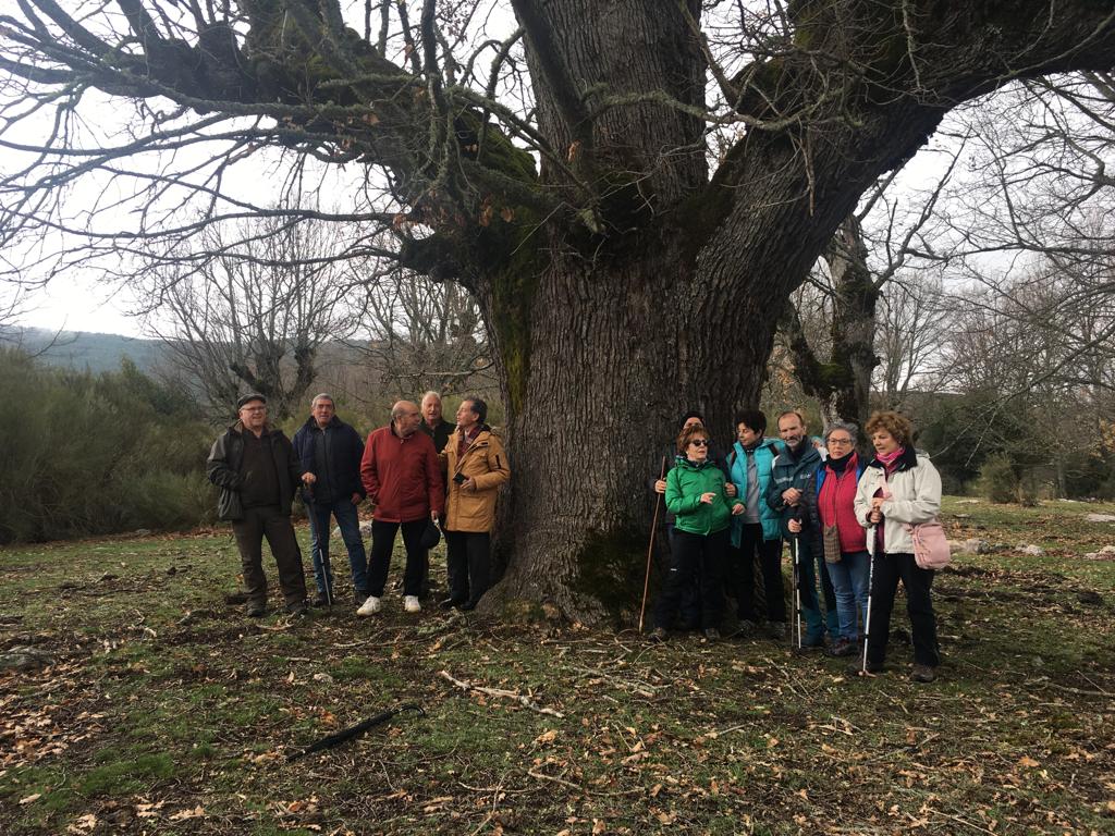 Plantacion en Tolbaños de Abajo (2)