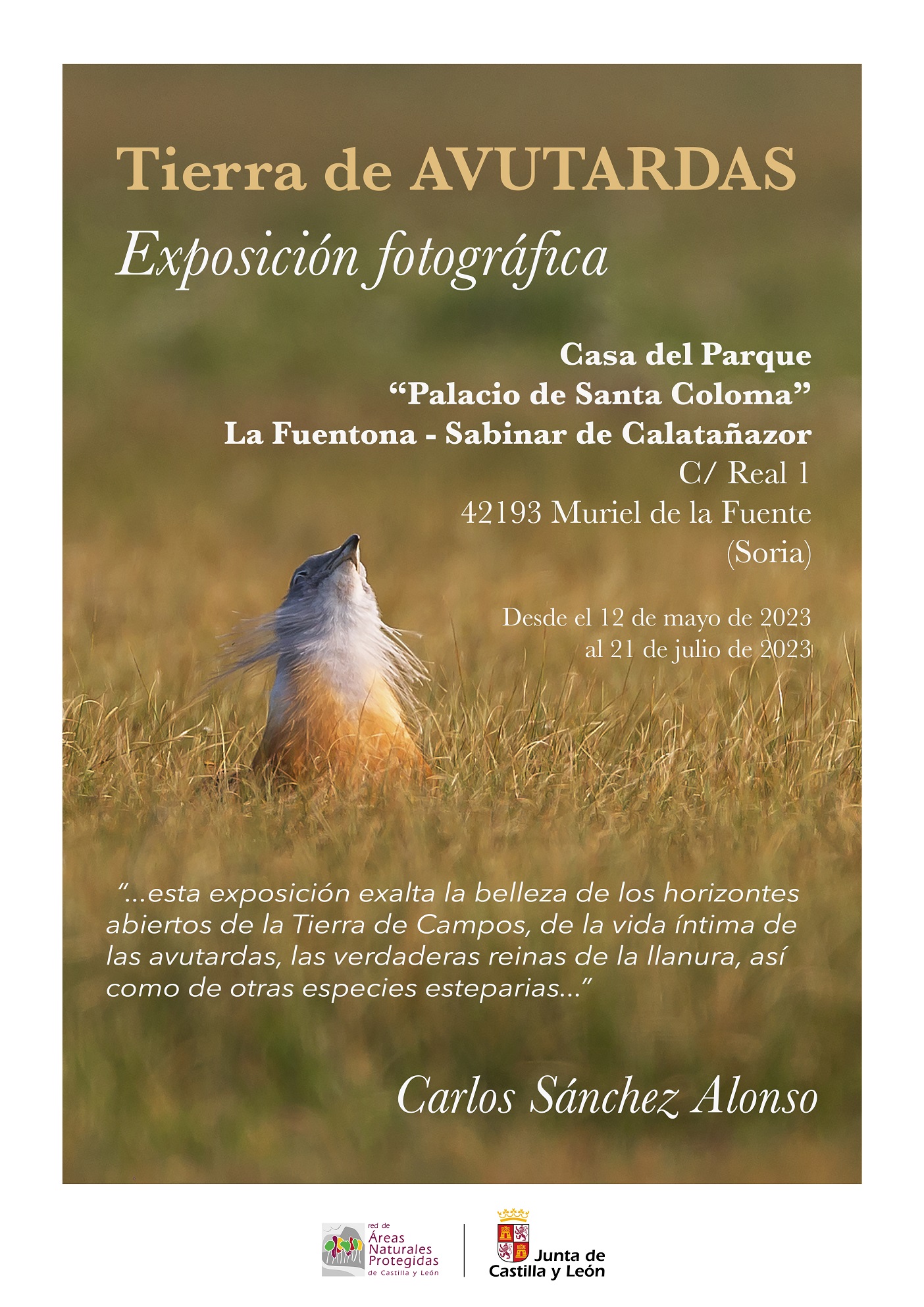 Cartel Exposición Tierra de Avutardas
