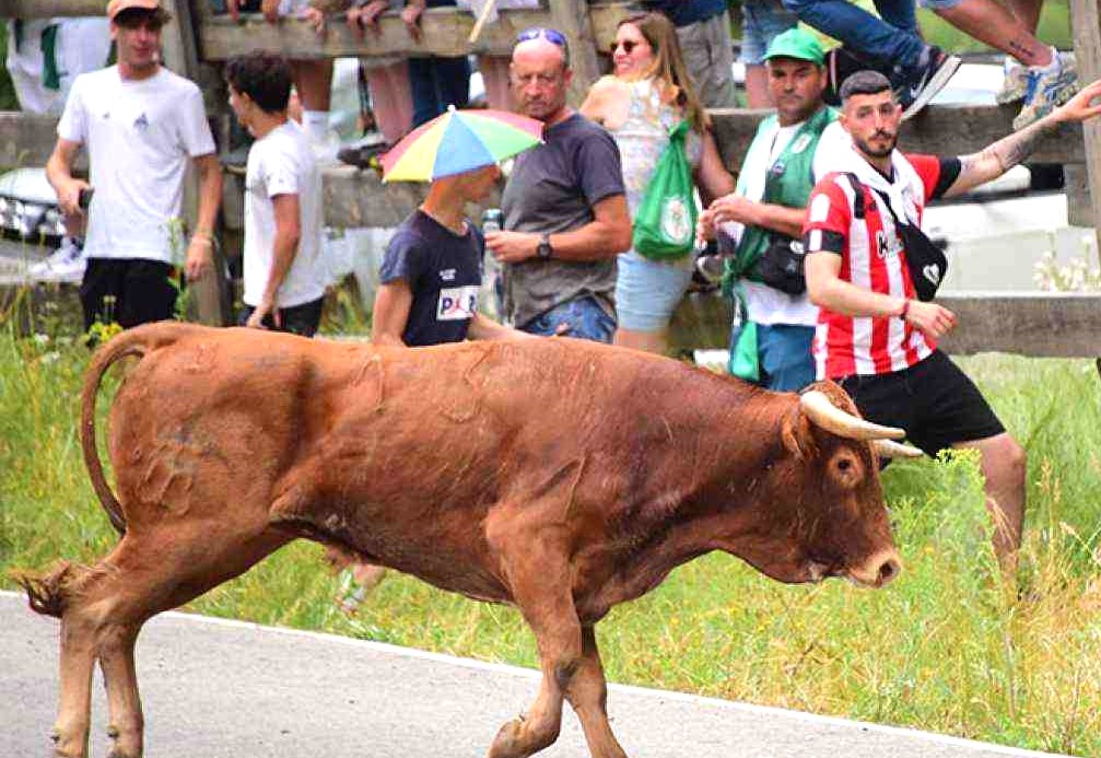 LA SACA 2023 (1)