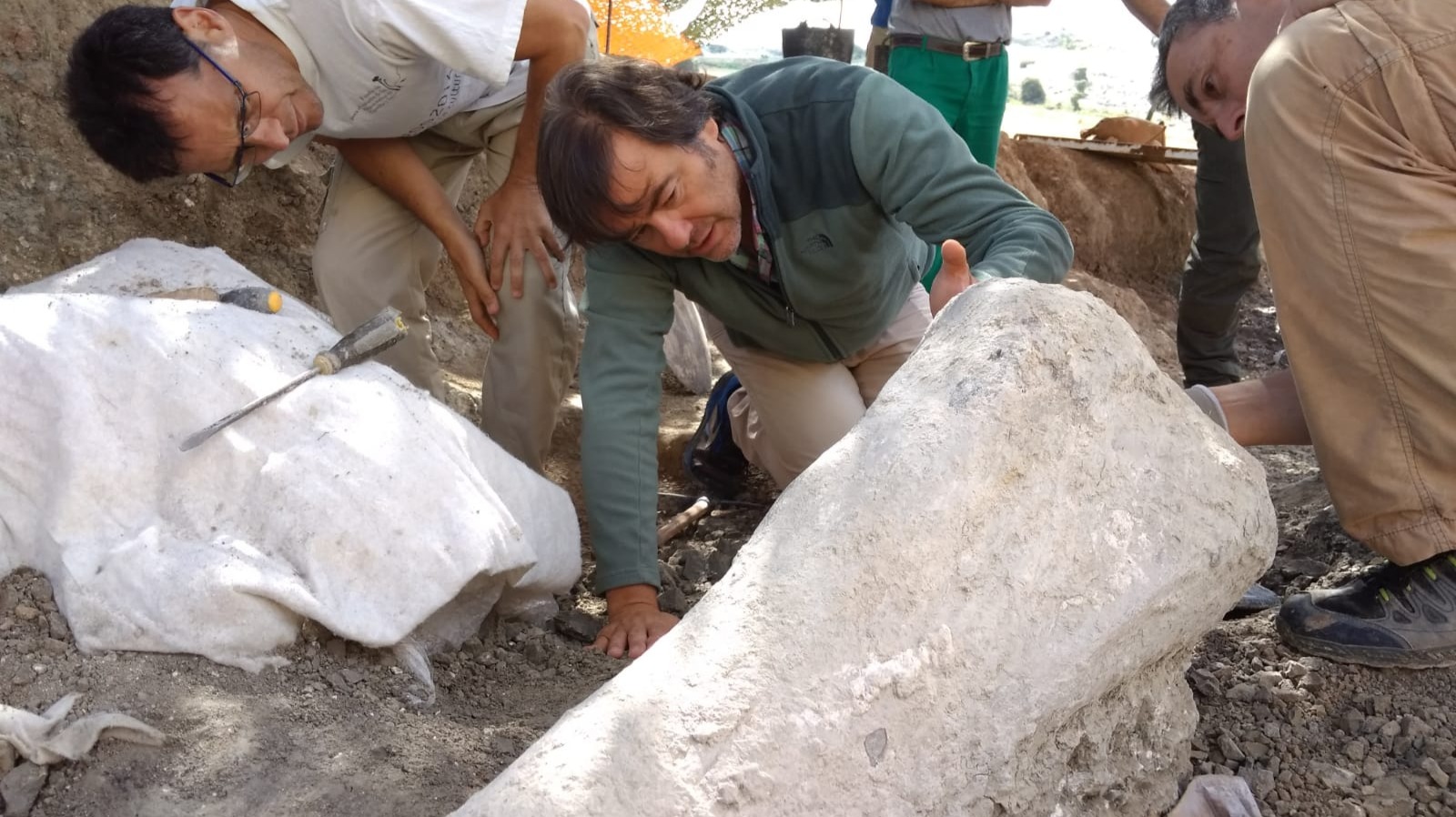 La vigésima campaña de excavaciones de dinosaurios vuelve a Torrelara desde el viernes 7 de julio