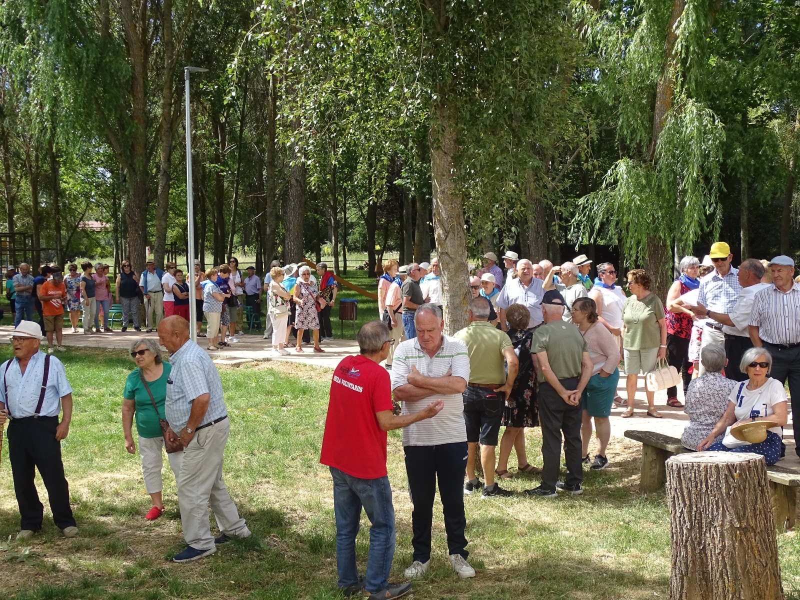 ENCUENTRO DE MAYORES EN ARAÚZO (8)