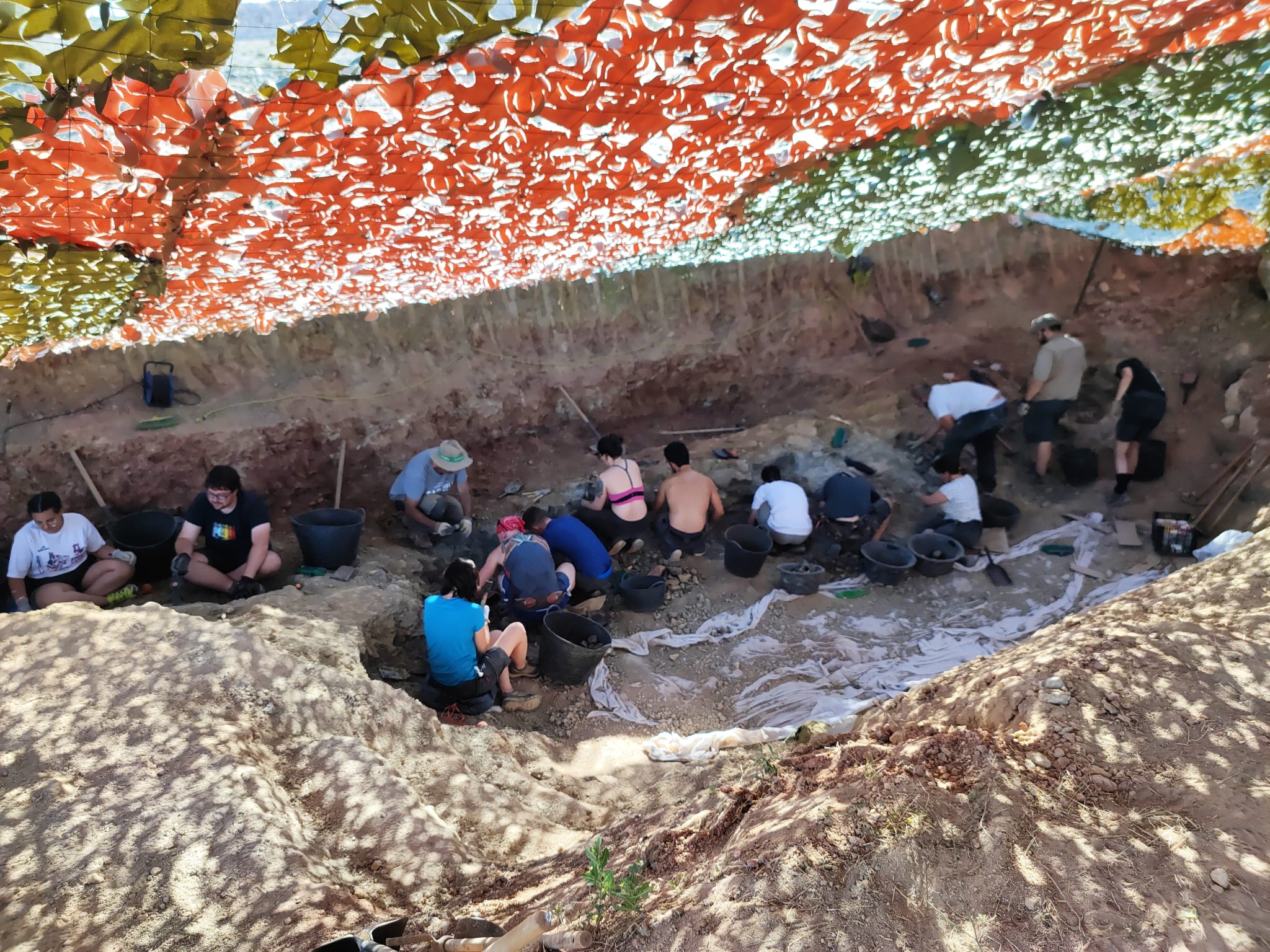 Las excavaciones en Torrelara afloran los restos de un dinosaurio de tamaño medio