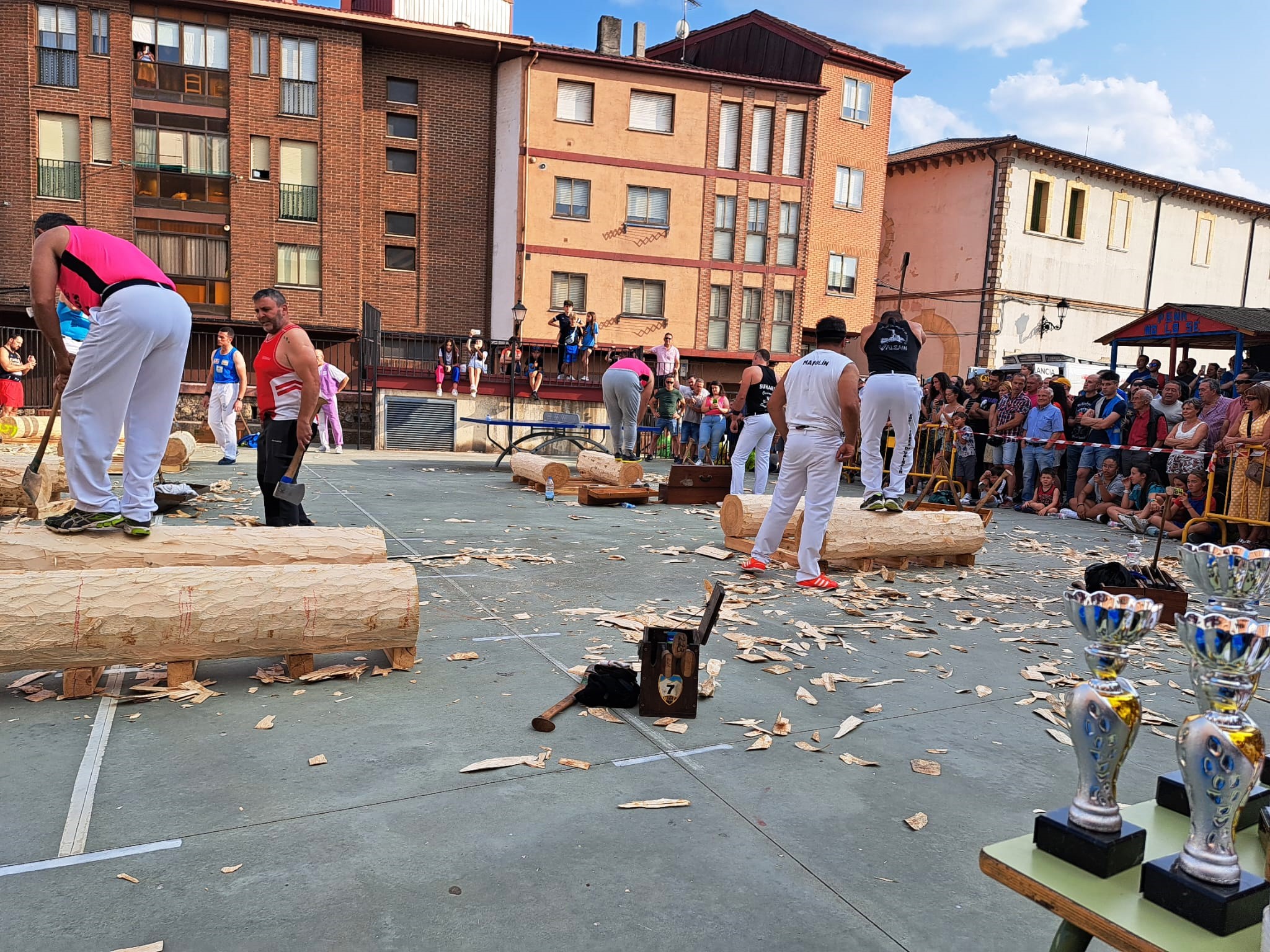CORTE DE TRONCOS 2023 (4)