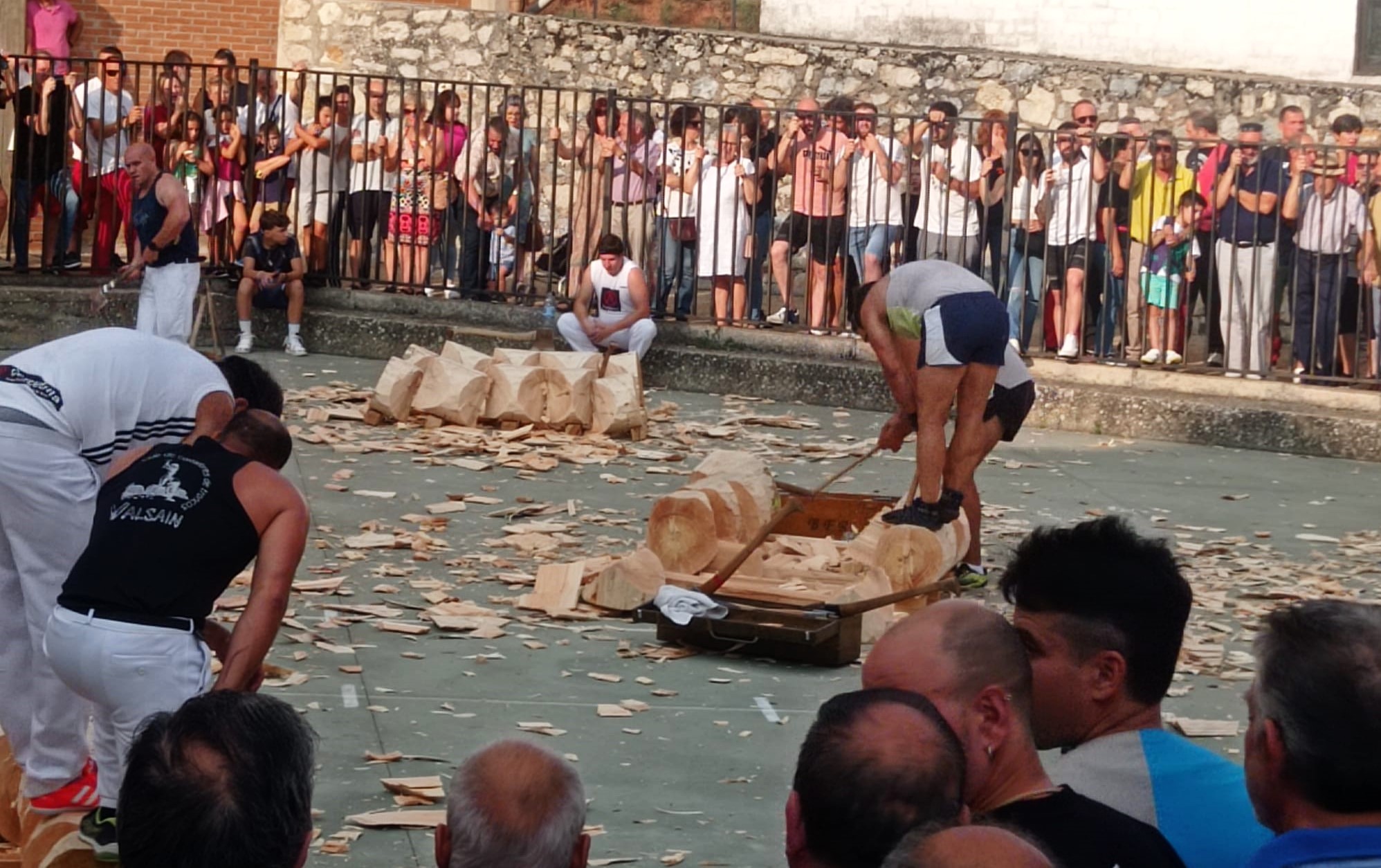 CORTE DE TRONCOS 2023 (5)