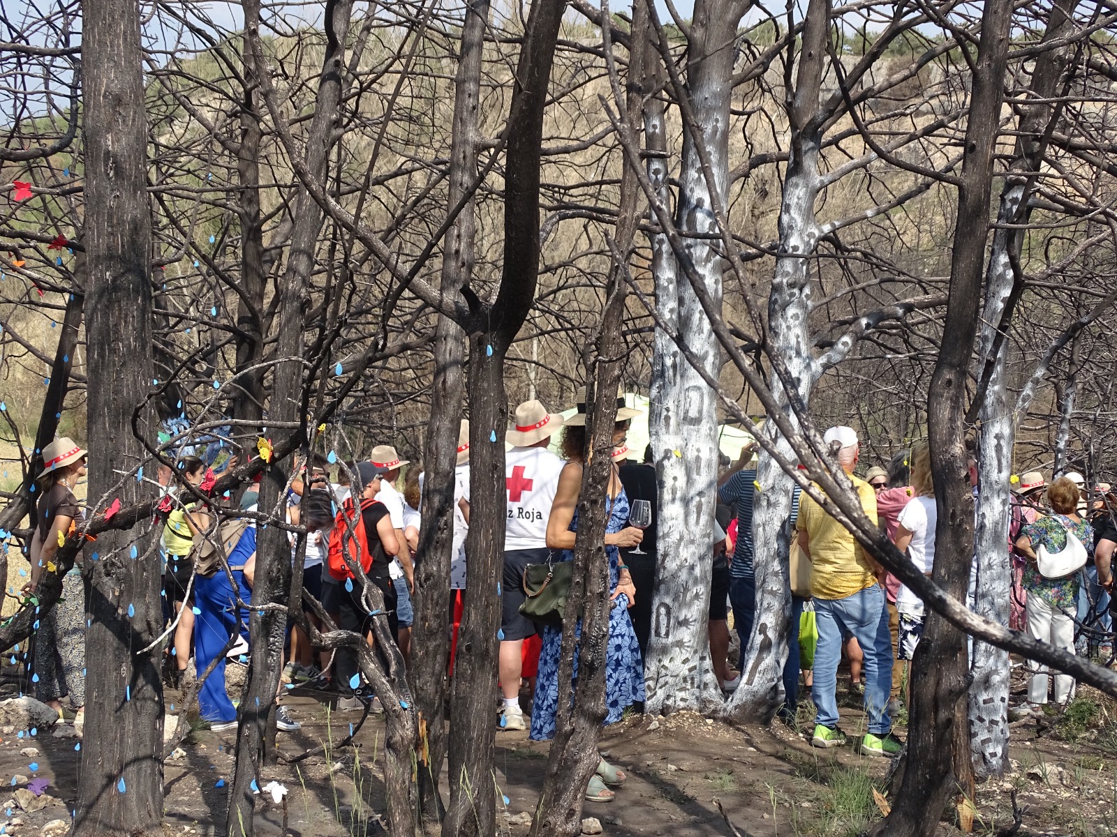 JORNADA EN QUINTANILLA (2)