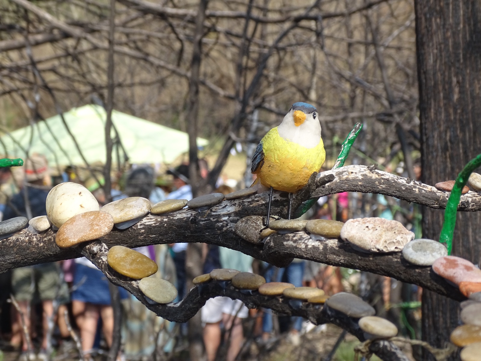 JORNADA EN QUINTANILLA (3)