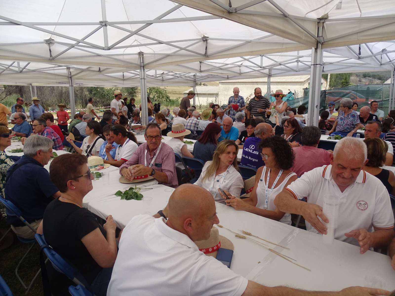 JORNADA EN QUINTANILLA (5)