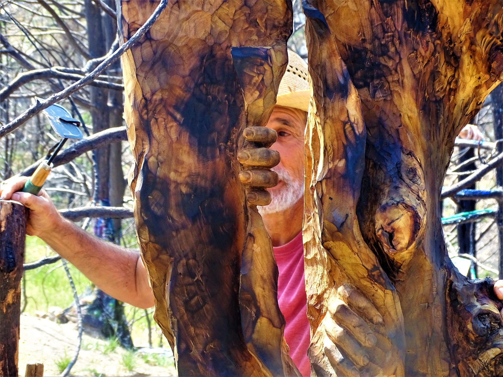 JORNADA EN QUINTANILLA (10)