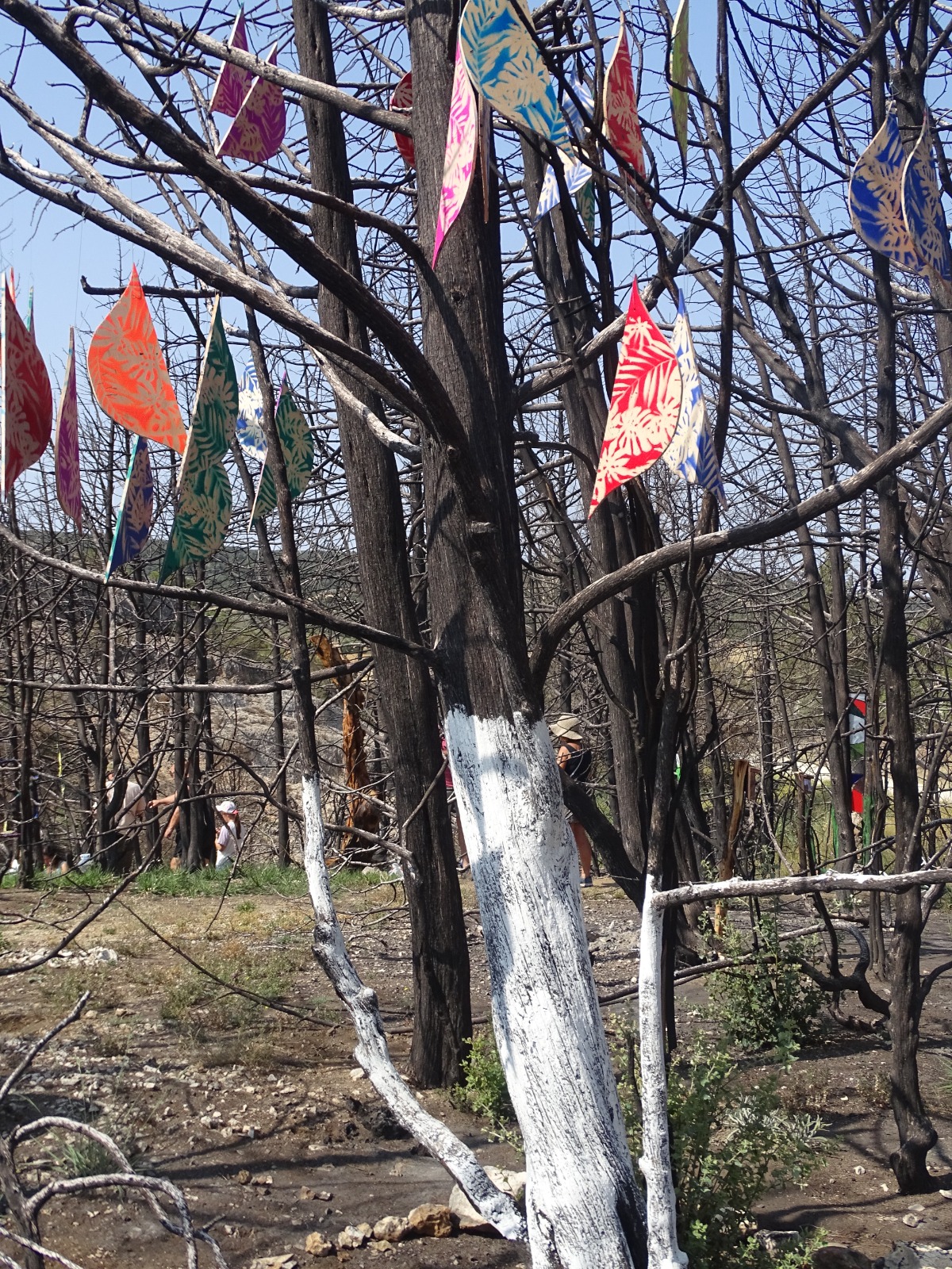 JORNADA EN QUINTANILLA (12)