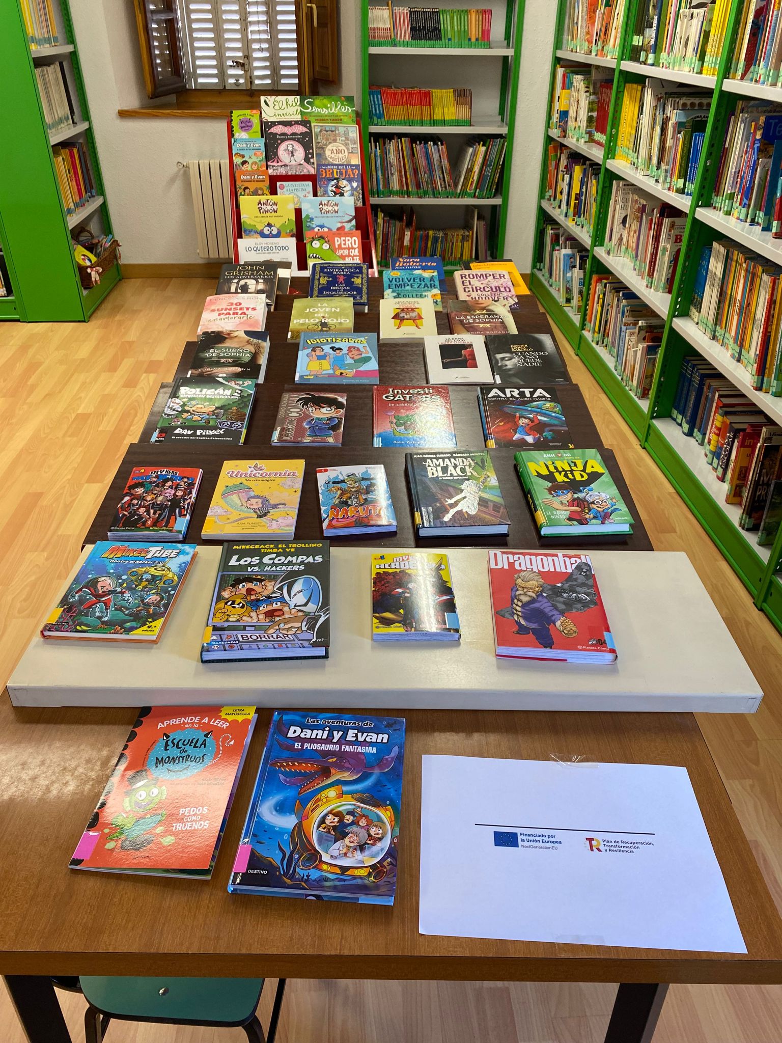 Diputación adquiere libros con fondos europeos (3)