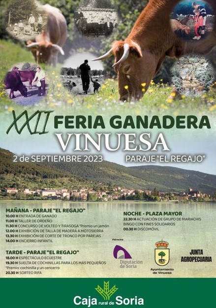 Feria Vinuesa
