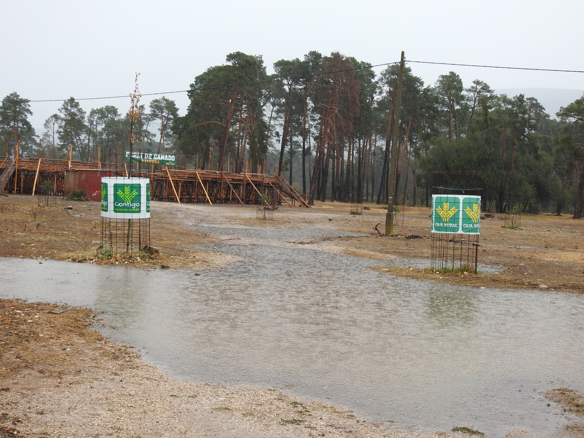 La lluvia obliga a suspender los actos de la  XXII Feria ganadera de Vinuesa en El Regajo