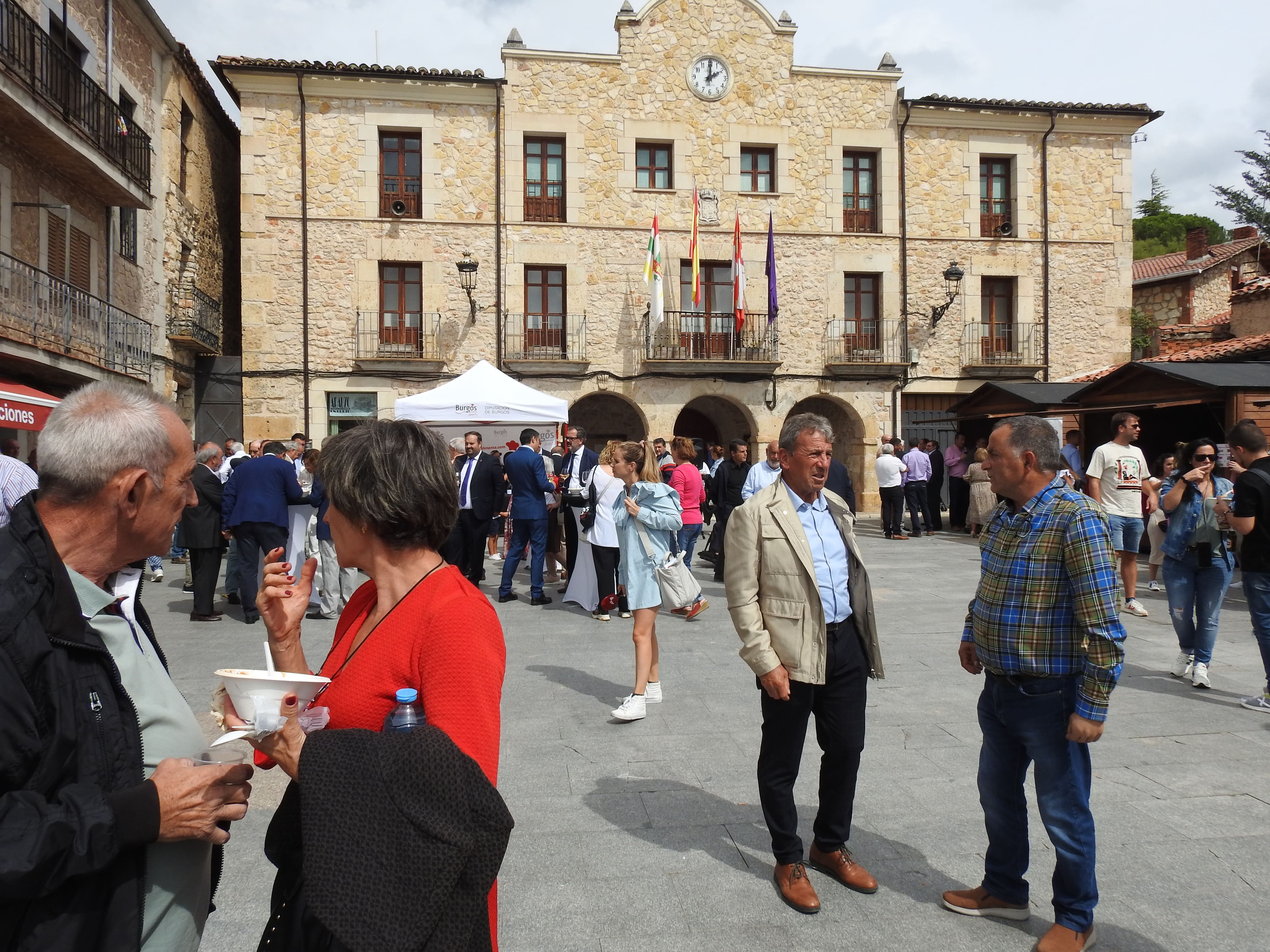 Día de la Provincia de Burgos (5)