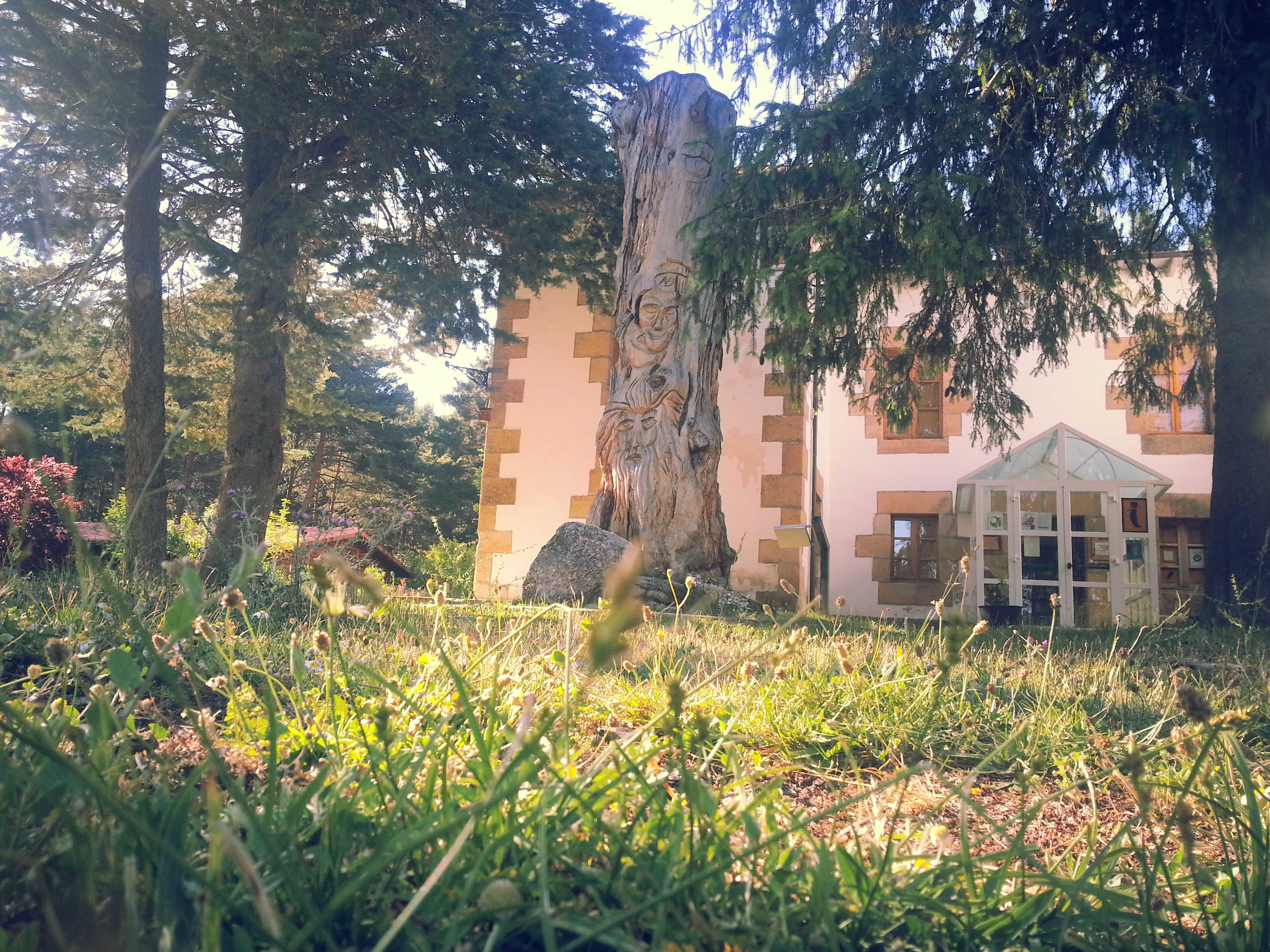 Aula del Bosque del Amogable