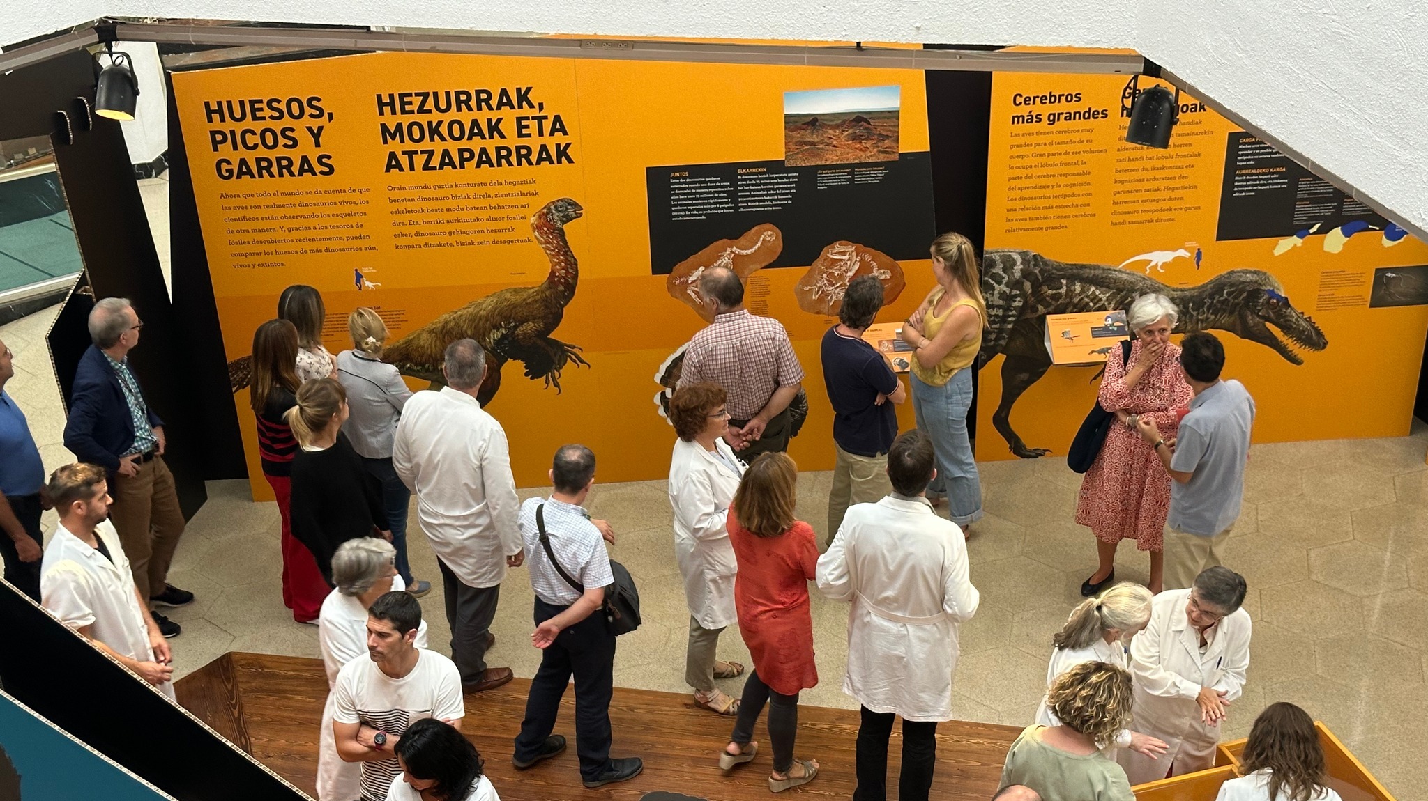 El Museo de Salas colabora en una exposición sobre dinosaurios y aves en Pamplona