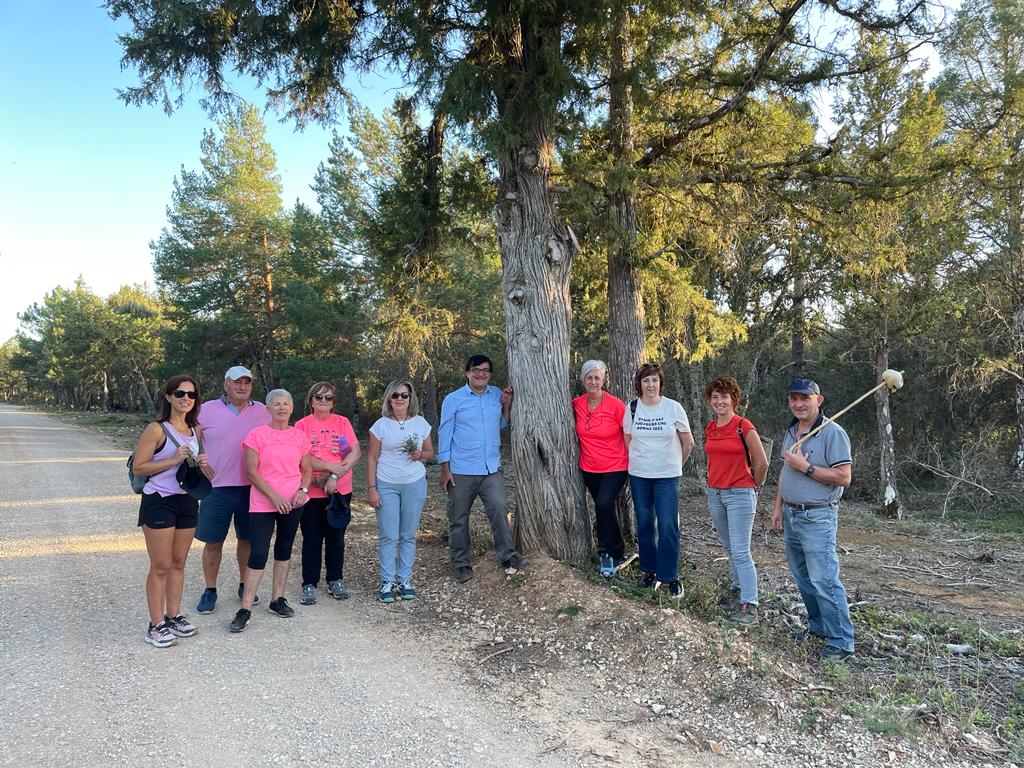 Actividad micológica en Cabrejas (6)