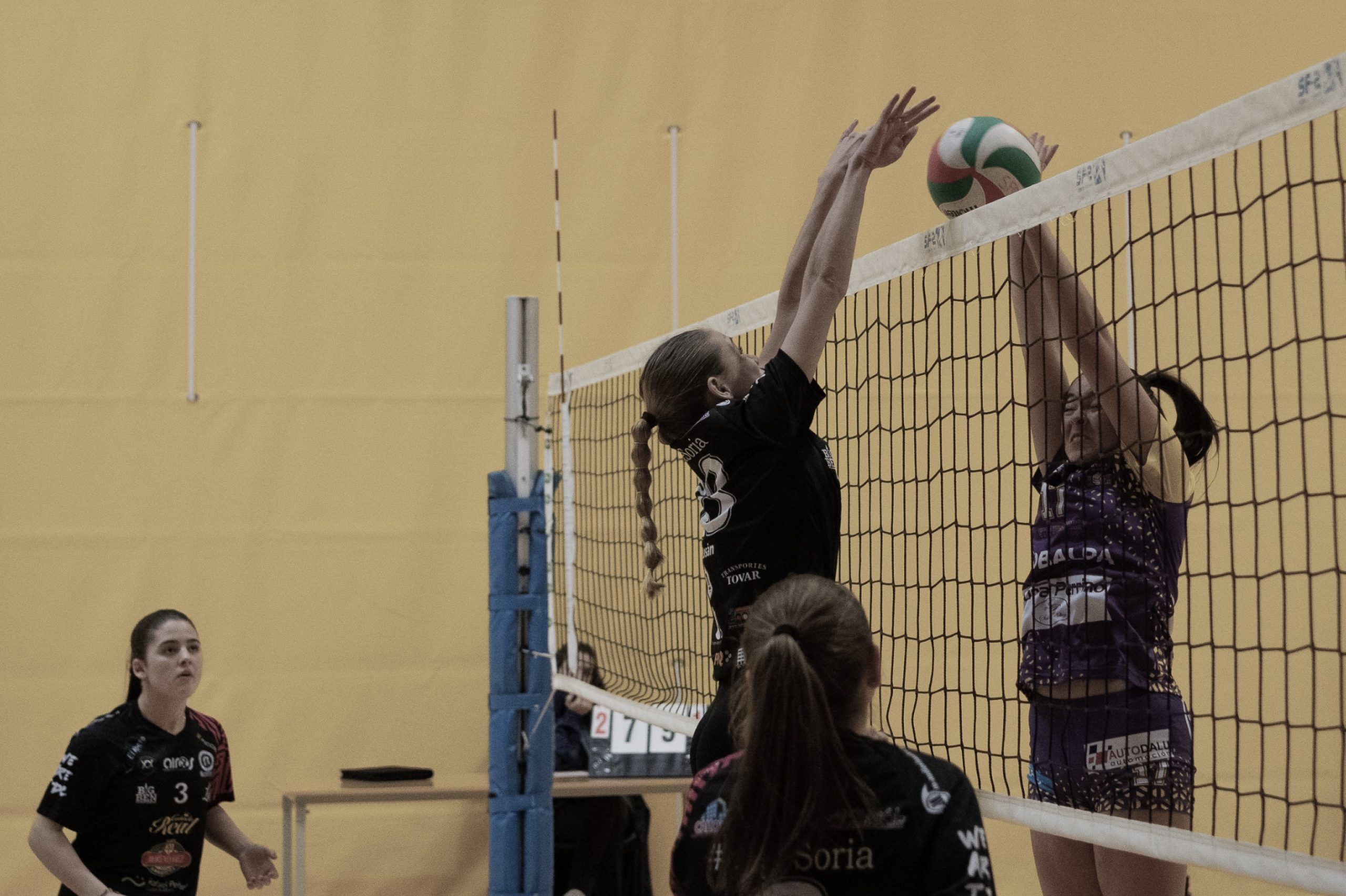 Juvenil-femenino-scaled